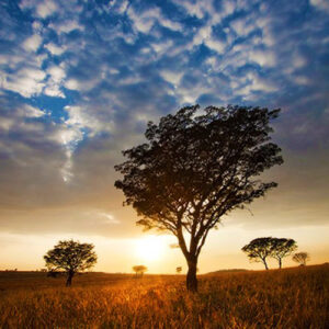 Tala Private Game Reserve