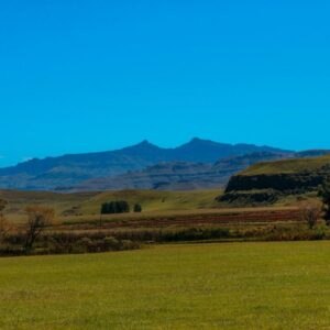 Moorcroft Manor Boutique Country Hotel