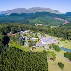 ANew Resort - Ingeli Forest