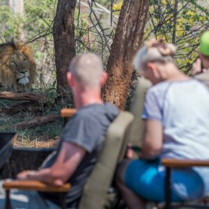 Makalali Private Game Lodge