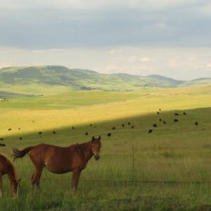 DeKotzenhof Wakkerstroom