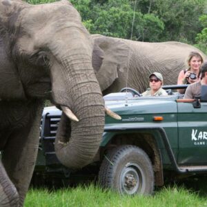 Main Lodge - Kariega Game Reserve