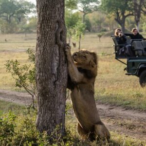 Umkumbe Safari Lodge - Riverside