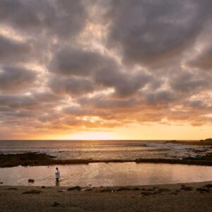 Perna Perna Mossel Bay