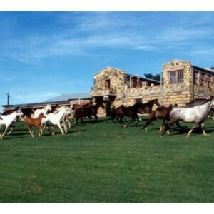 Moolmanshoek Private Game Reserve