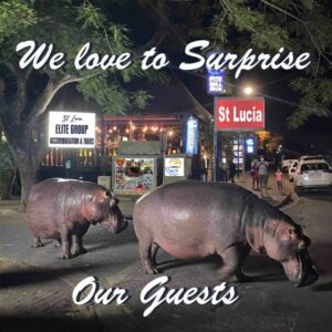 Ndiza Lodge & Cabanas