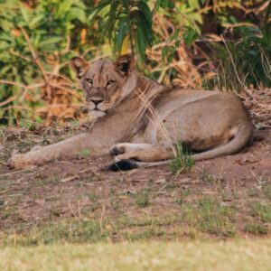 Nuyanaya River Camp (Fully Halaal)
