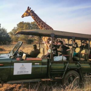 Mount Savannah Game Reserve