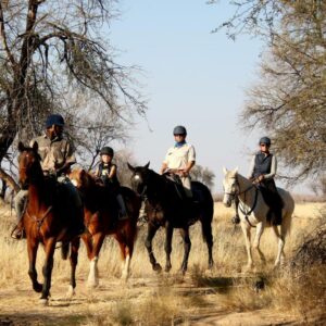 Bullsport Lodge & Farm