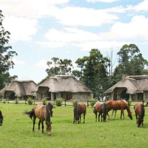 Champagne Castle Hotel