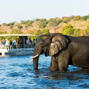 Chobe Marina Lodge