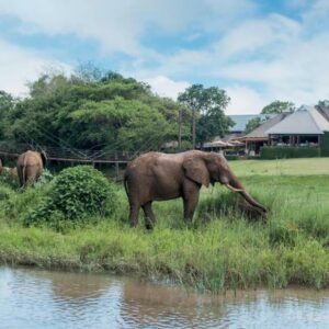 Hippo Hollow Country Estate