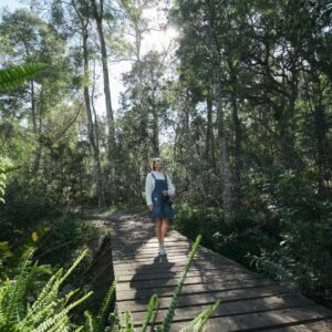 Africamps at Oakhurst