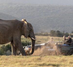 The Homestead (Private Lodge)