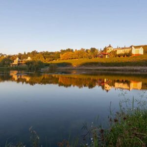Ladybird Vineyards Guest House