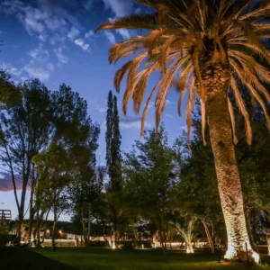 Droombos Vineyard Country Lodge