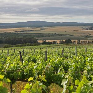 Africamps at Stanford Hills