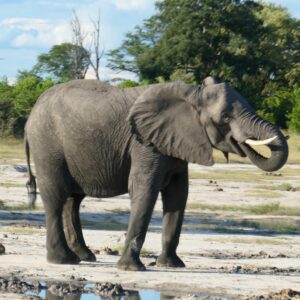 African Excursions Guest House