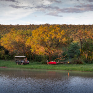 Ant's Nest & Ant's Hill