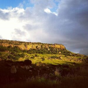 Doornkop Fish & Wildlife Reserve