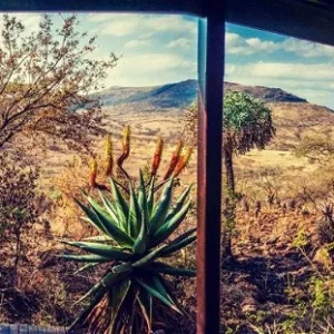 Three Tree Hill Lodge