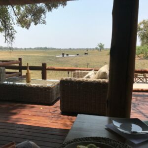 Sanctuary Chief's Camp