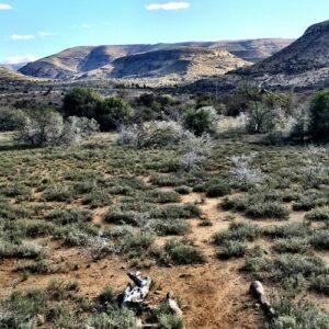 Mountain Zebra National Park