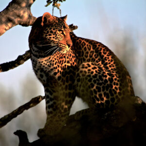 Lubbesrust Boutique Lodge