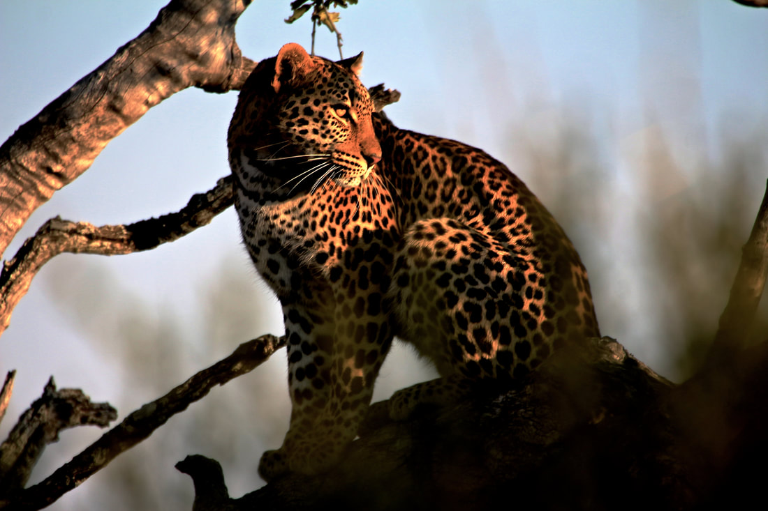 Lubbesrust Boutique Lodge