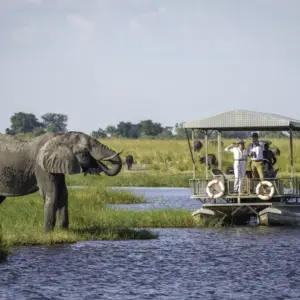 Chobe Game Lodge