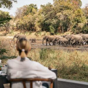 Simbavati River Lodge