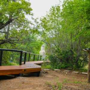 Thaba Lodge, Black Rhino